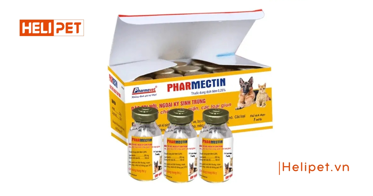  Thuốc trị ghẻ cho mèo Pharmectin