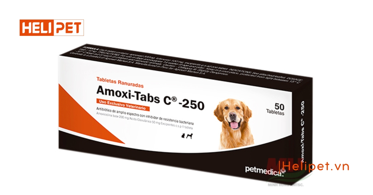 Thuốc trị ghẻ mèo Amoxi - Tabs