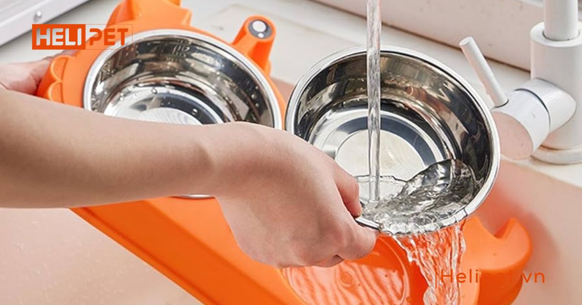 Mèo bị rận tai