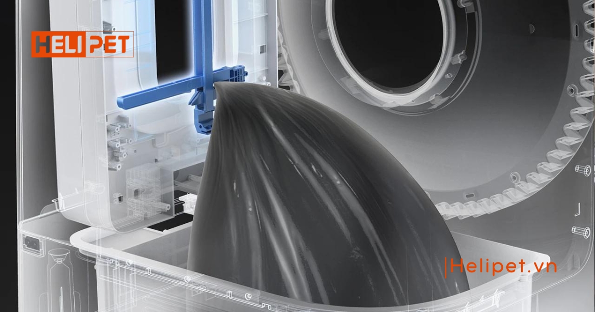 Mèo đi vệ sinh không lấp cát vì đâu