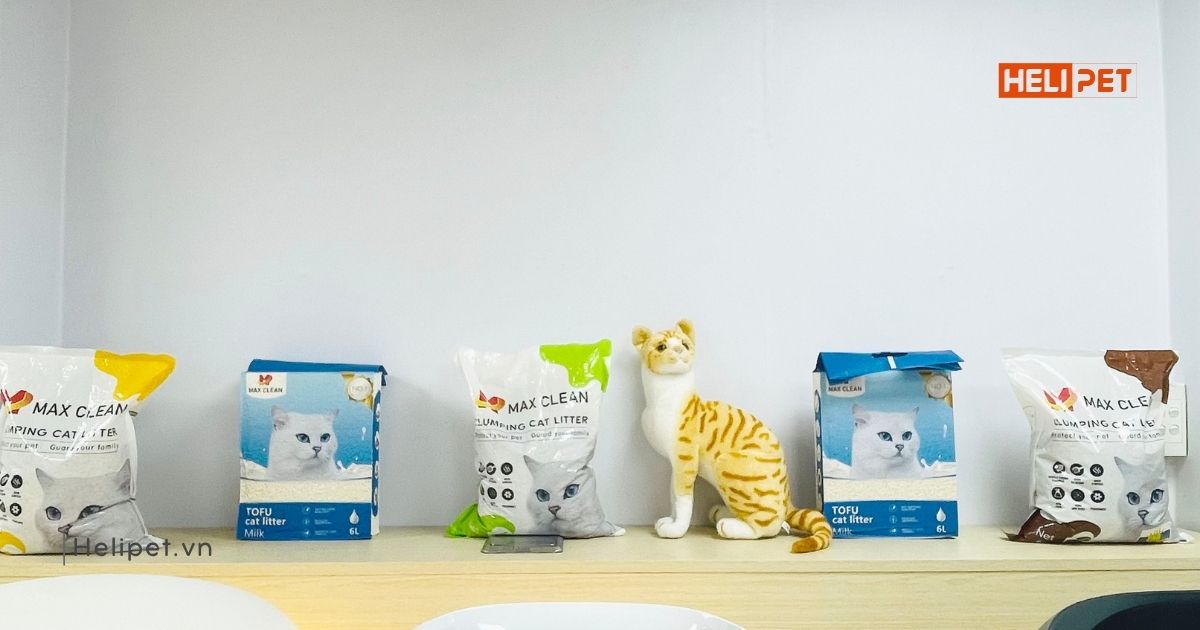 Cửa hàng HeLiPet Quận 1 - nơi trải nghiệm và đánh giá sản phẩm trực quan nhất