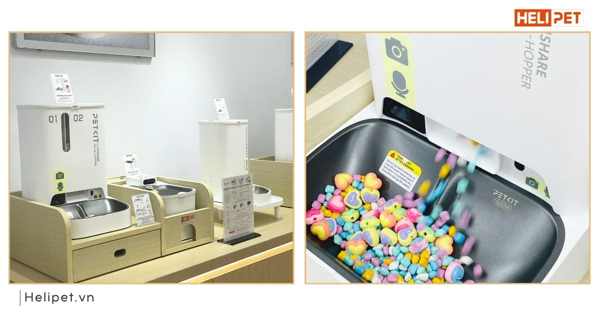 Máy cho thú cưng ăn tự động trưng bày tại cửa hàng HeLiPet Quận 1