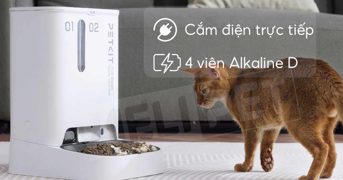 máy cho ăn tự động có camera petkit