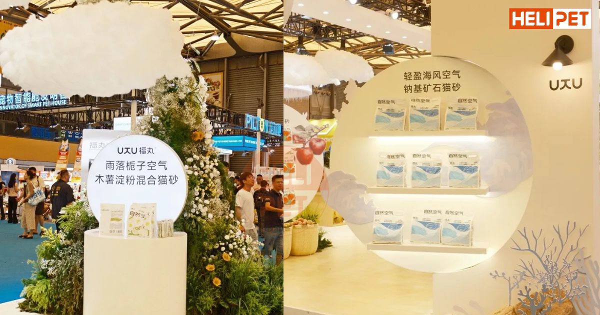 PET FAIR ASIA 2024