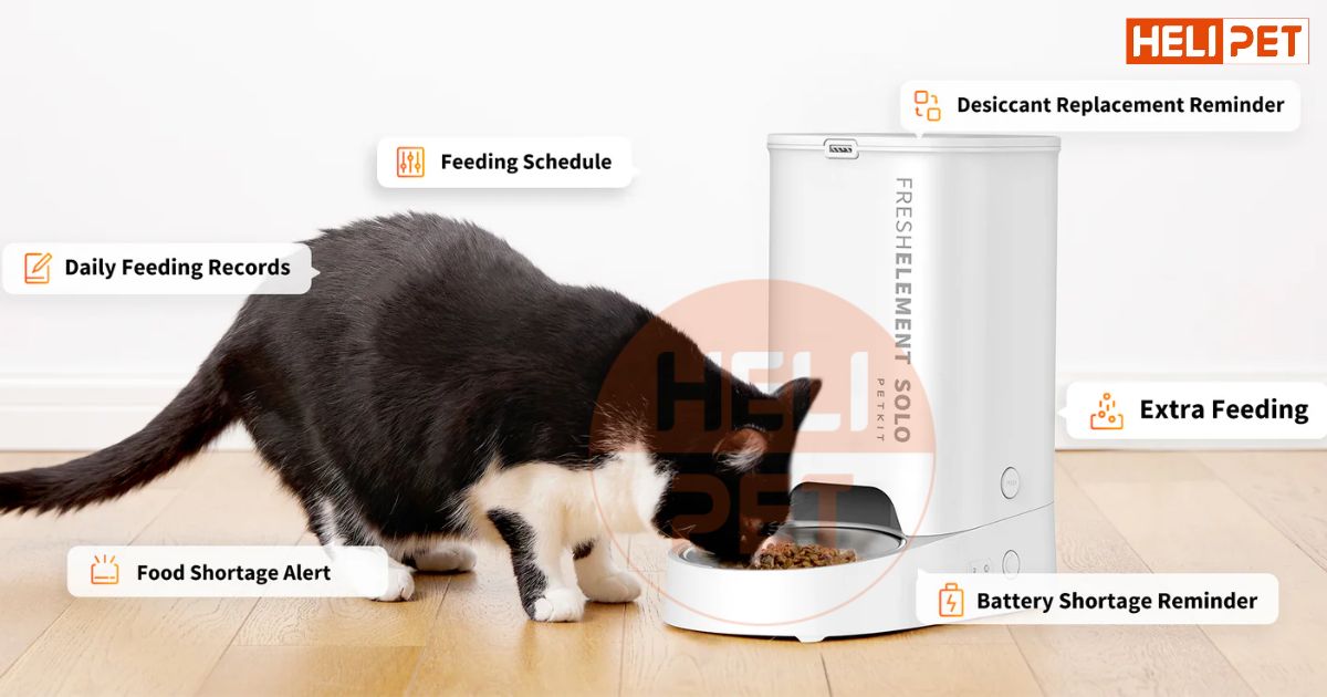 PETKIT