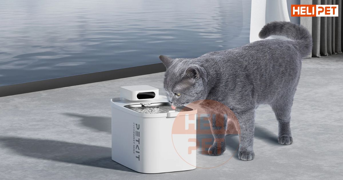 PETKIT