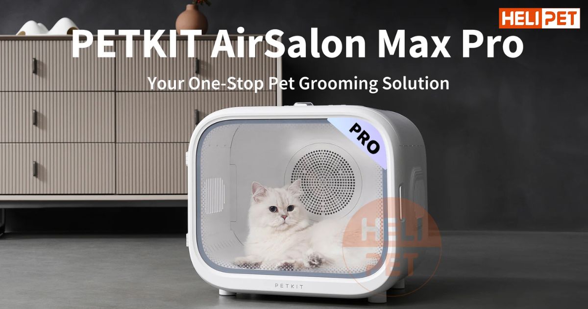 PETKIT