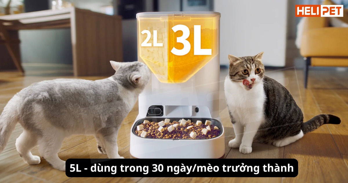 máy cho ăn tự động có camera petkit