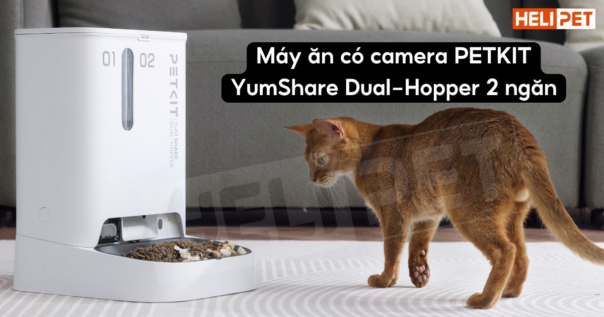 máy cho ăn tự động có camera petkit