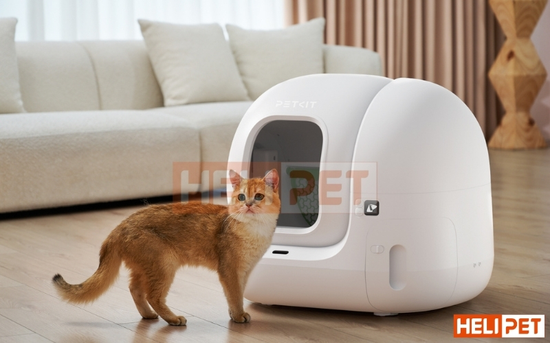 Máy dọn vệ sinh mèo Petkit Pura Max 2 2025