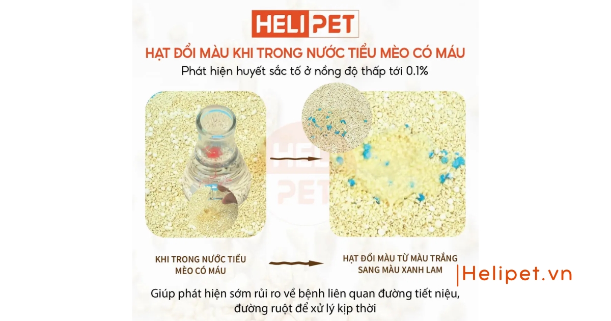Review cát đậu nành cho mèo 