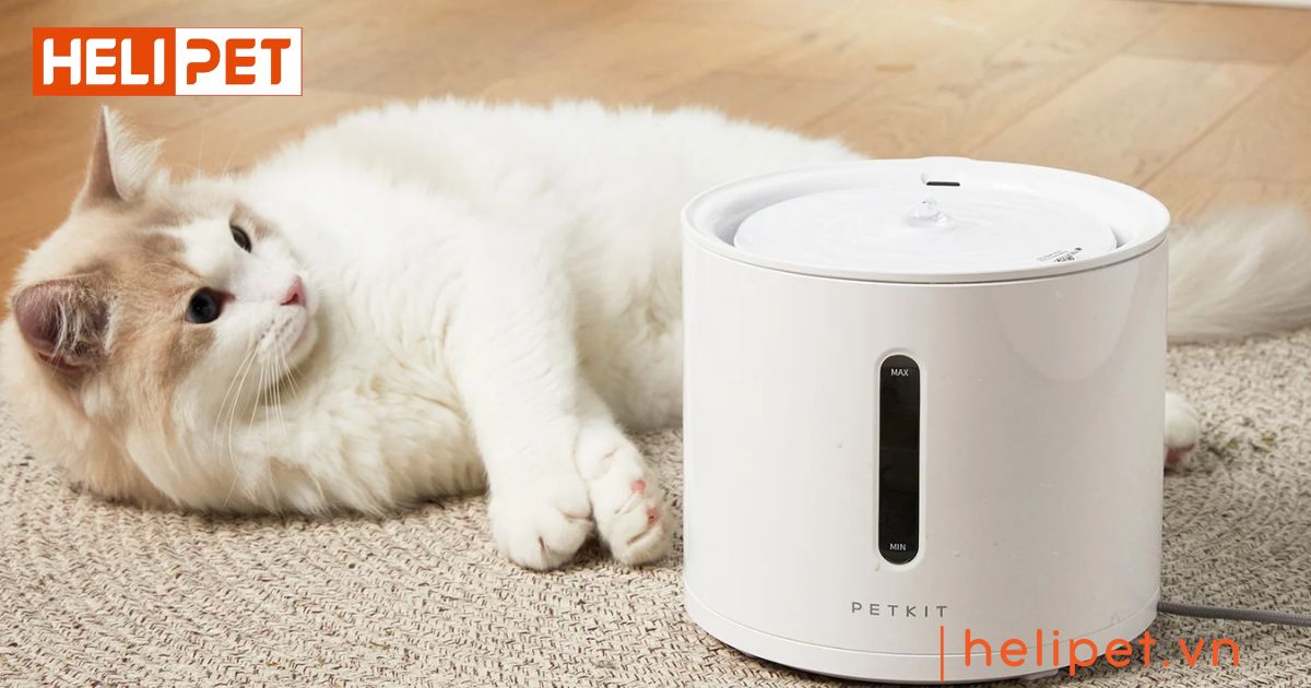 máy lọc nước PETKIT Eversweet SOLO 2