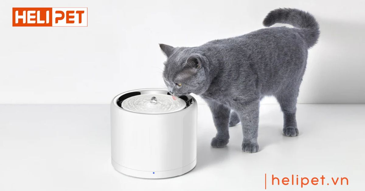 máy lọc nước PETKIT Eversweet 3 Pro