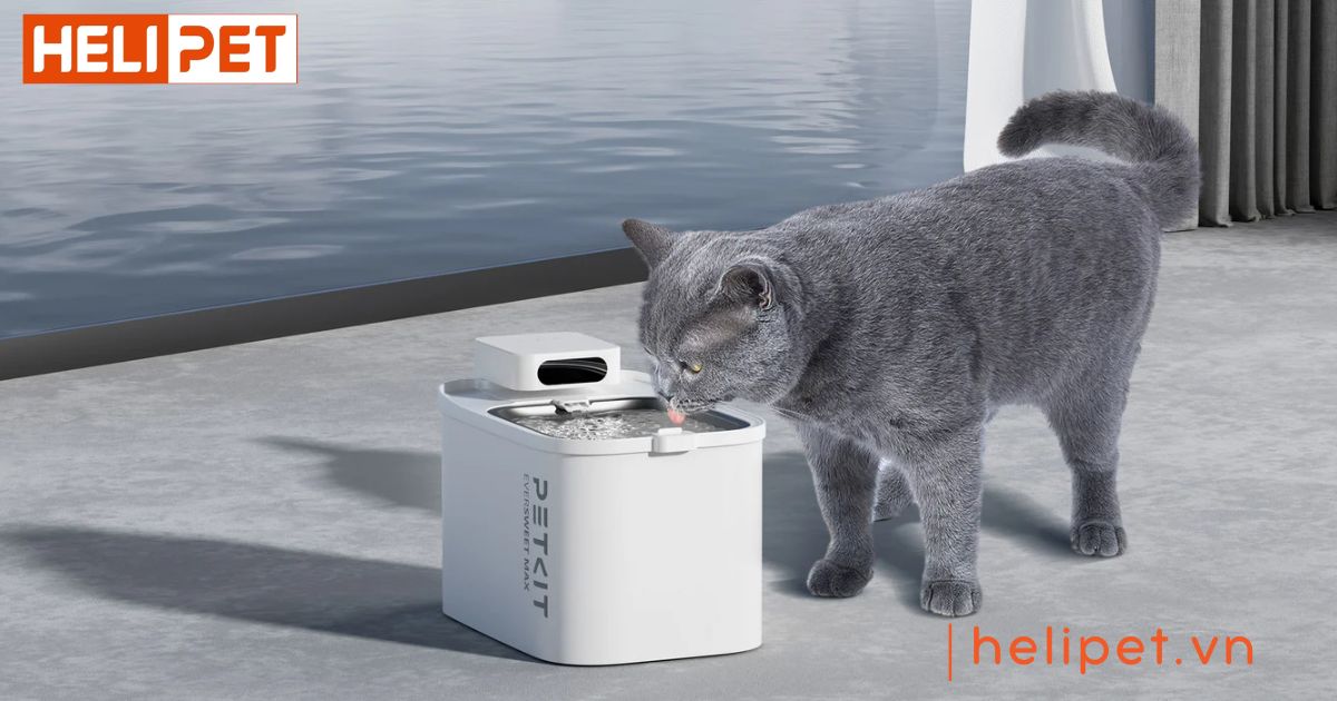 máy lọc nước PETKIT Eversweet Max