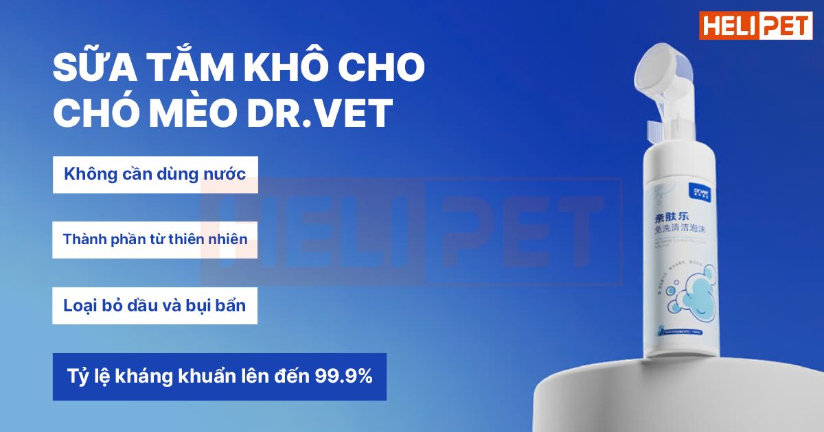 Sữa tắm khô cho mèo có tốt không