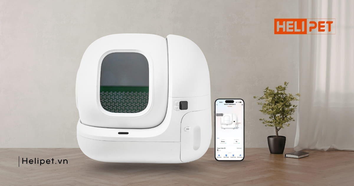 Petkit Pura Max 2 giúp bạn an tâm hơn khi vắng nhà