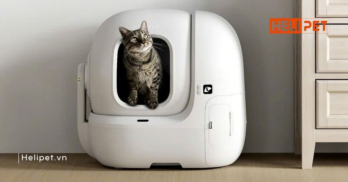 Máy dọn phân mèo tự động PETKIT Purobot Max Pro 2