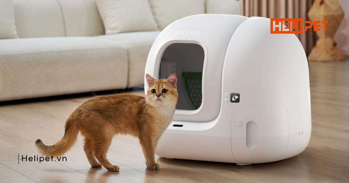 Máy dọn vệ sinh tự động cho mèo PETKIT Pura Max 2