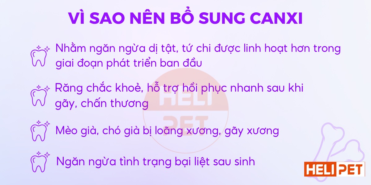 viên nhai bổ sung canxi cho chó mèo DR.VET