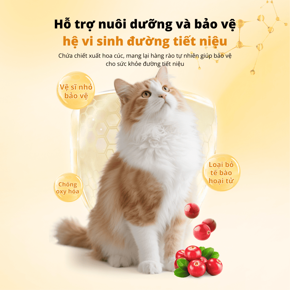 Kiềm hoá và bảo vệ tiết niệu
