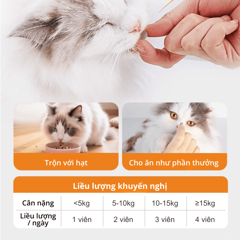 Hướng dẫn sử dụng