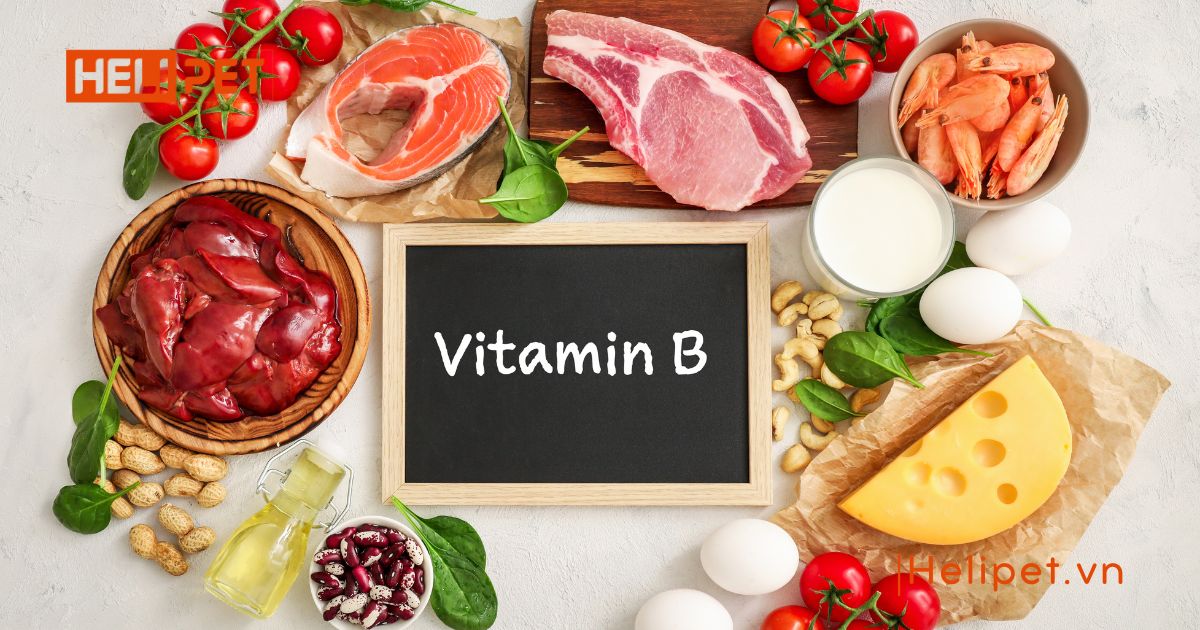 vitamin cho chó