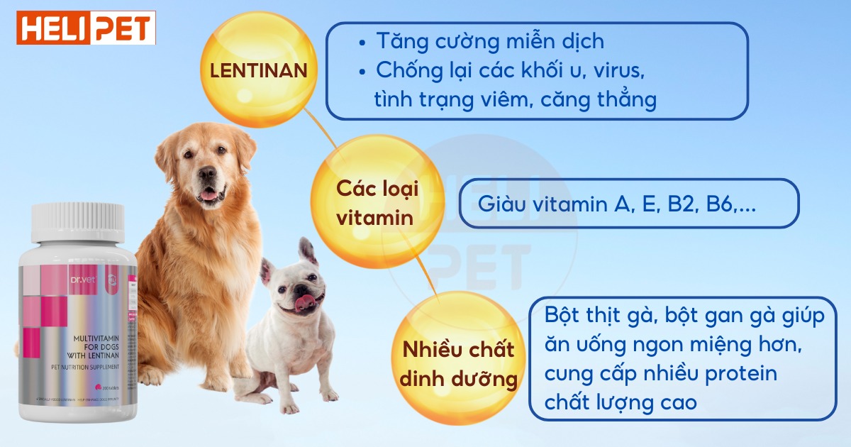  Vitamin tổng hợp cho chó DR.VET