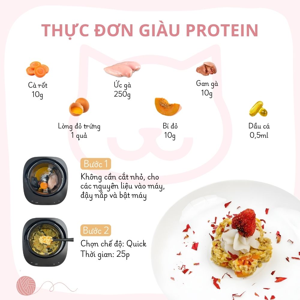 Máy làm pate tươi, thịt sấy cho chó mèo Fassner Mini - Image 8