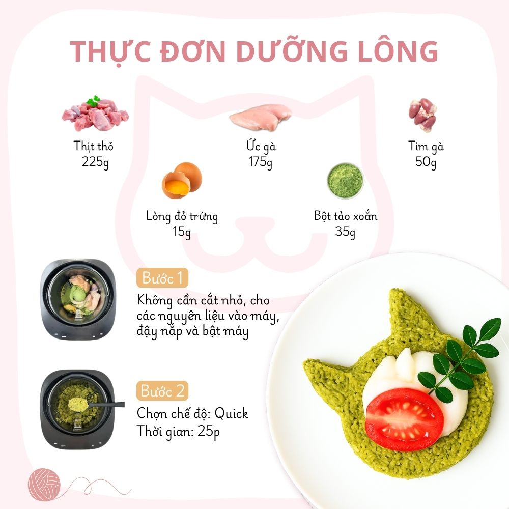 Máy làm pate tươi, thịt sấy cho chó mèo Fassner Mini - Image 10