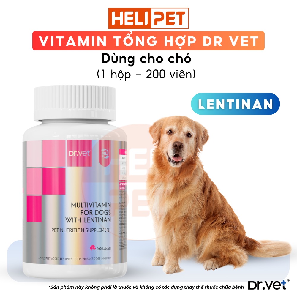 Vitamin tổng hợp cho chó DR.VET chứa Lentinan (200 viên)