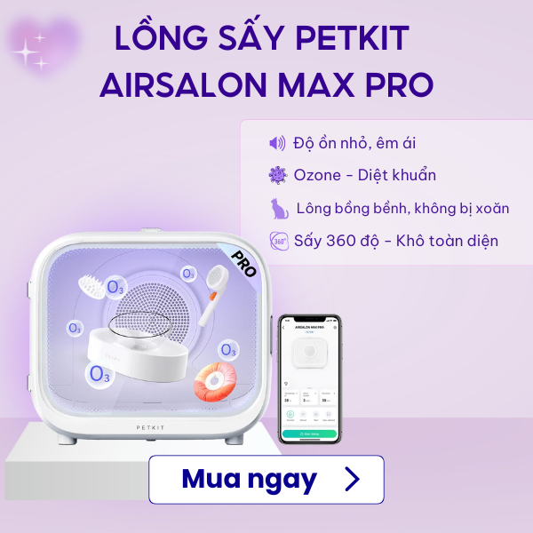 Chào mừng bạn!!