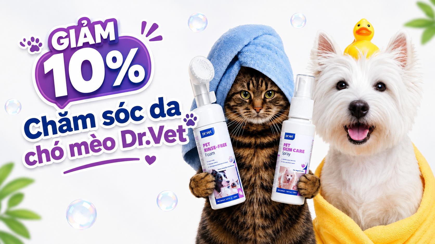 Pin sạc dự phòng