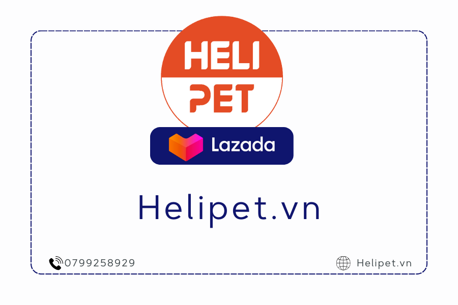 Cửa hàng Lazada