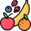 D.Fruits