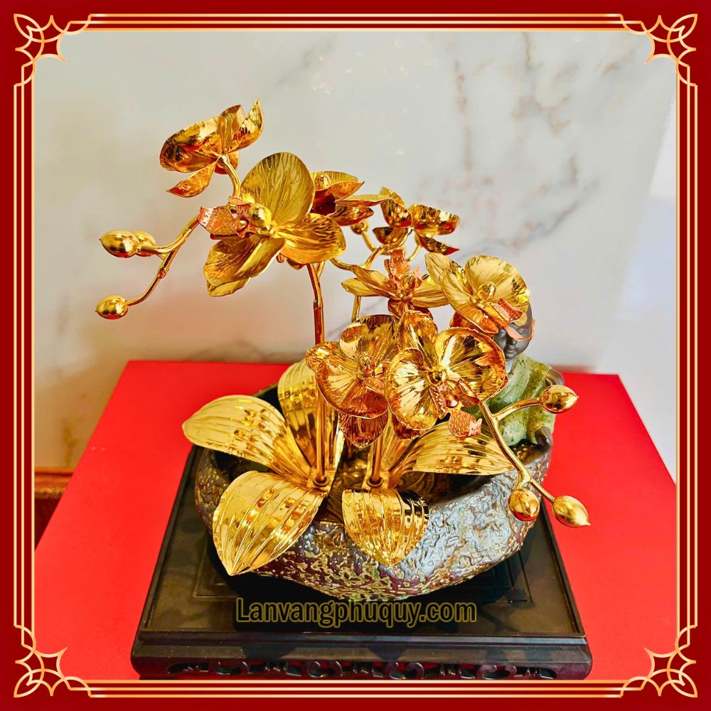 Lan vàng Phú Quý mini - LVMN04