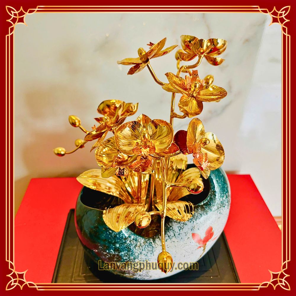 Lan vàng Phú Quý mini - LVMN07