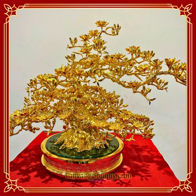 Mai vàng Phú Quý - MVPQ25