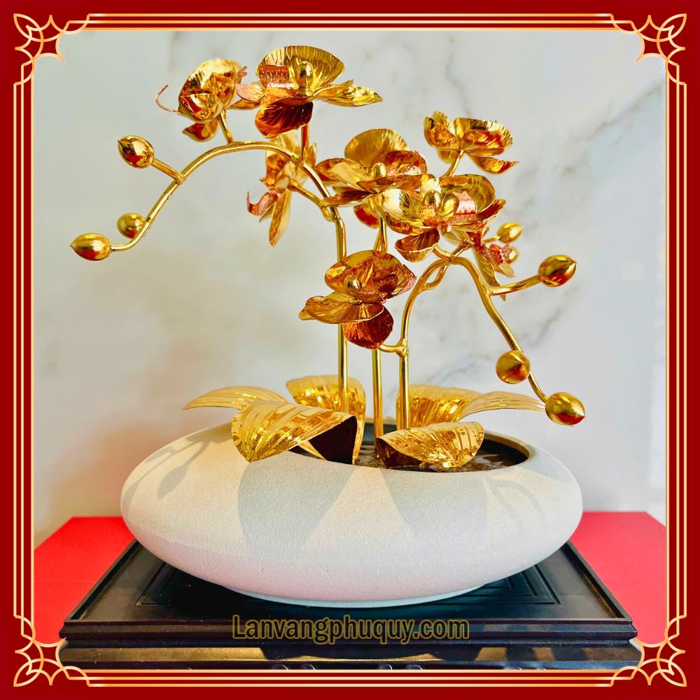 Lan vàng Phú Quý mini - LVMN10