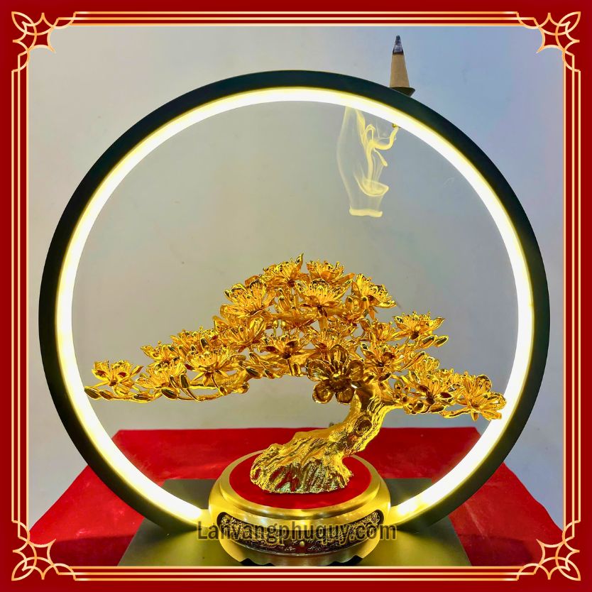 Mai Vàng Phú Quý - MVPQ024