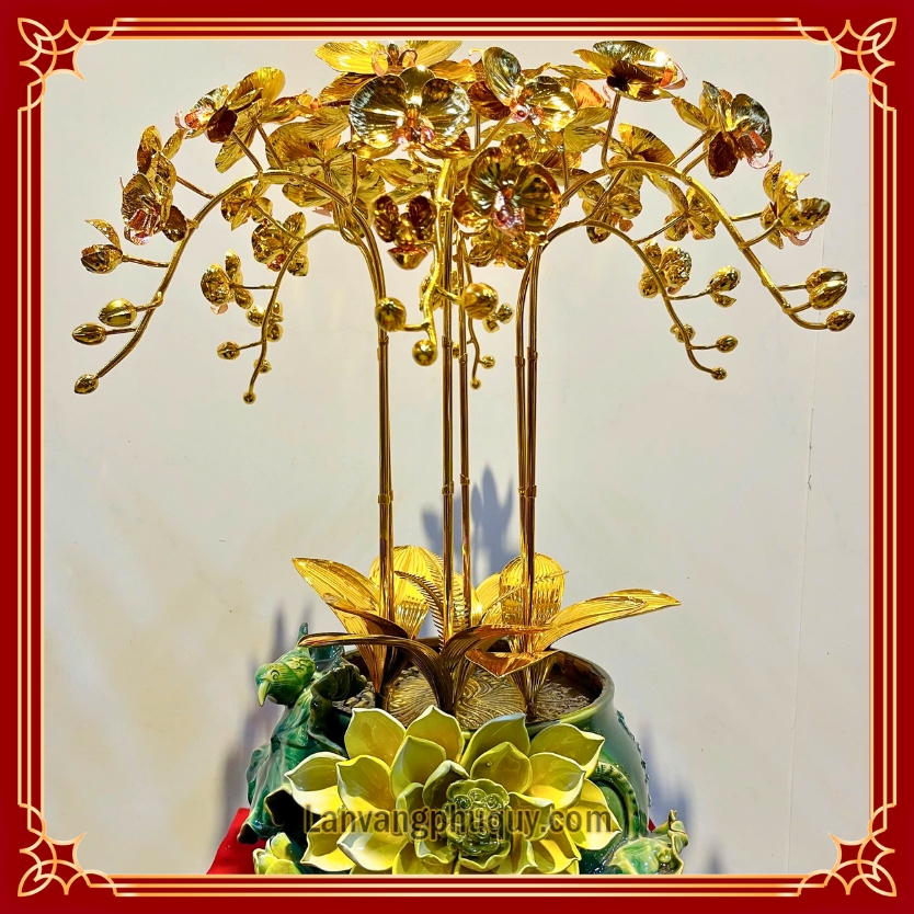 Lan vàng Phú Quý - MVPQ31