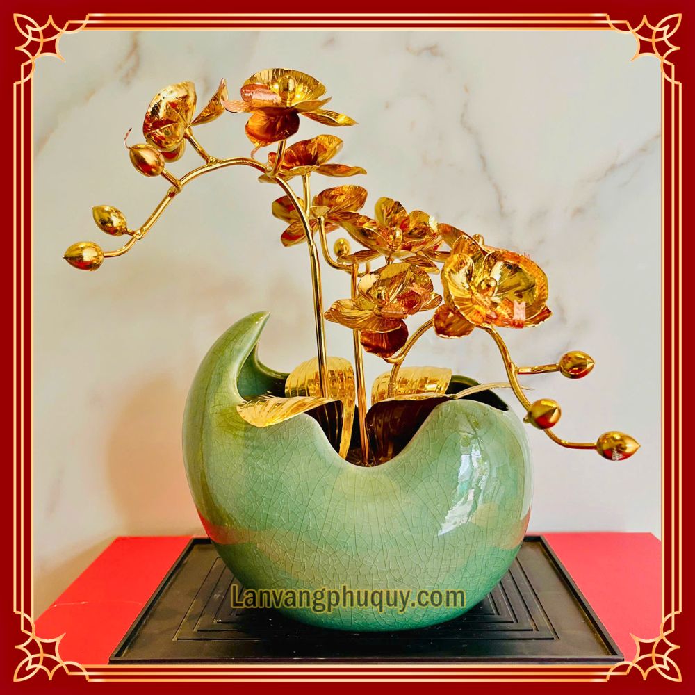 Lan vàng Phú Quý mini - LVMN03