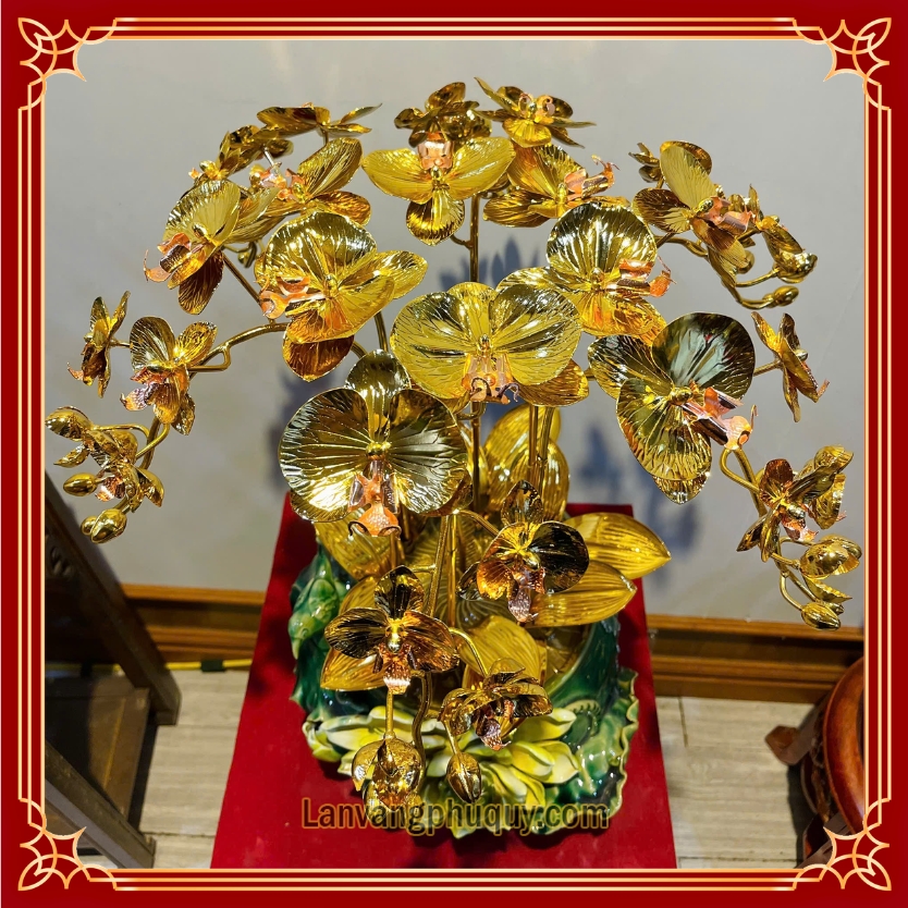 Lan vàng Phú Quý - MVPQ31