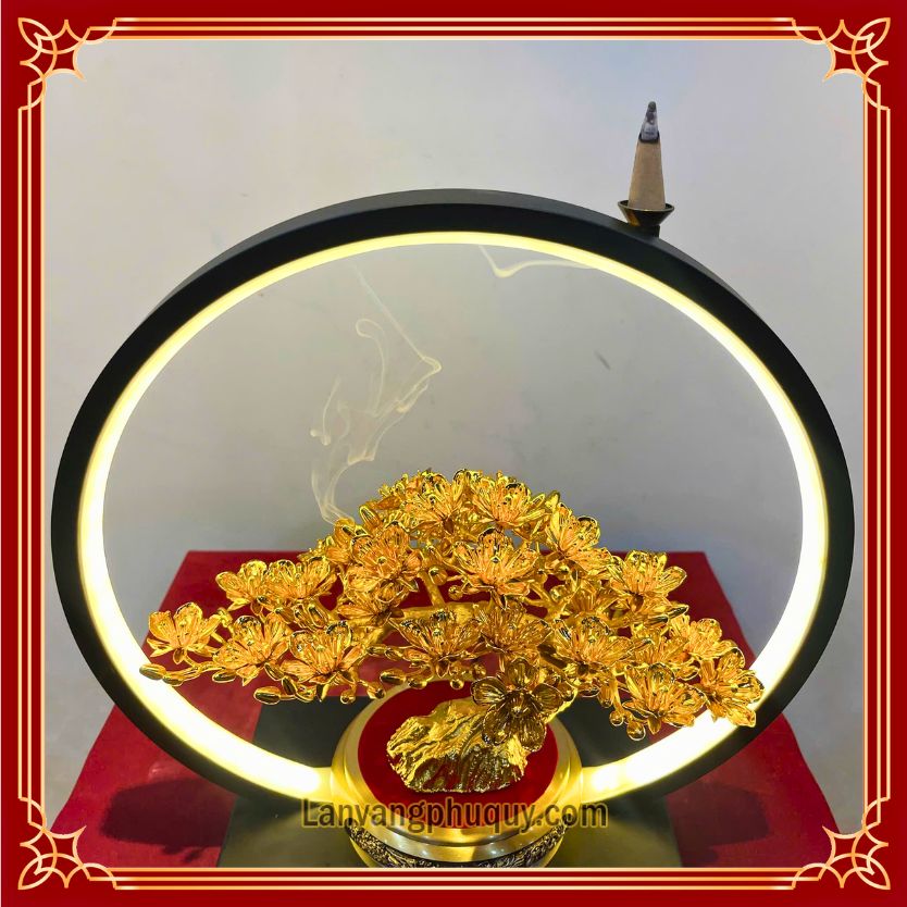 Mai Vàng Phú Quý - MVPQ024