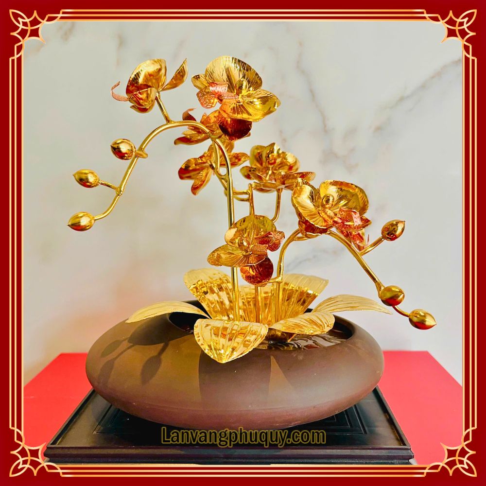 Lan vàng Phú Quý mini - LVMN05