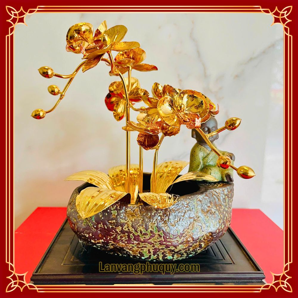 Lan vàng Phú Quý mini - LVMN04