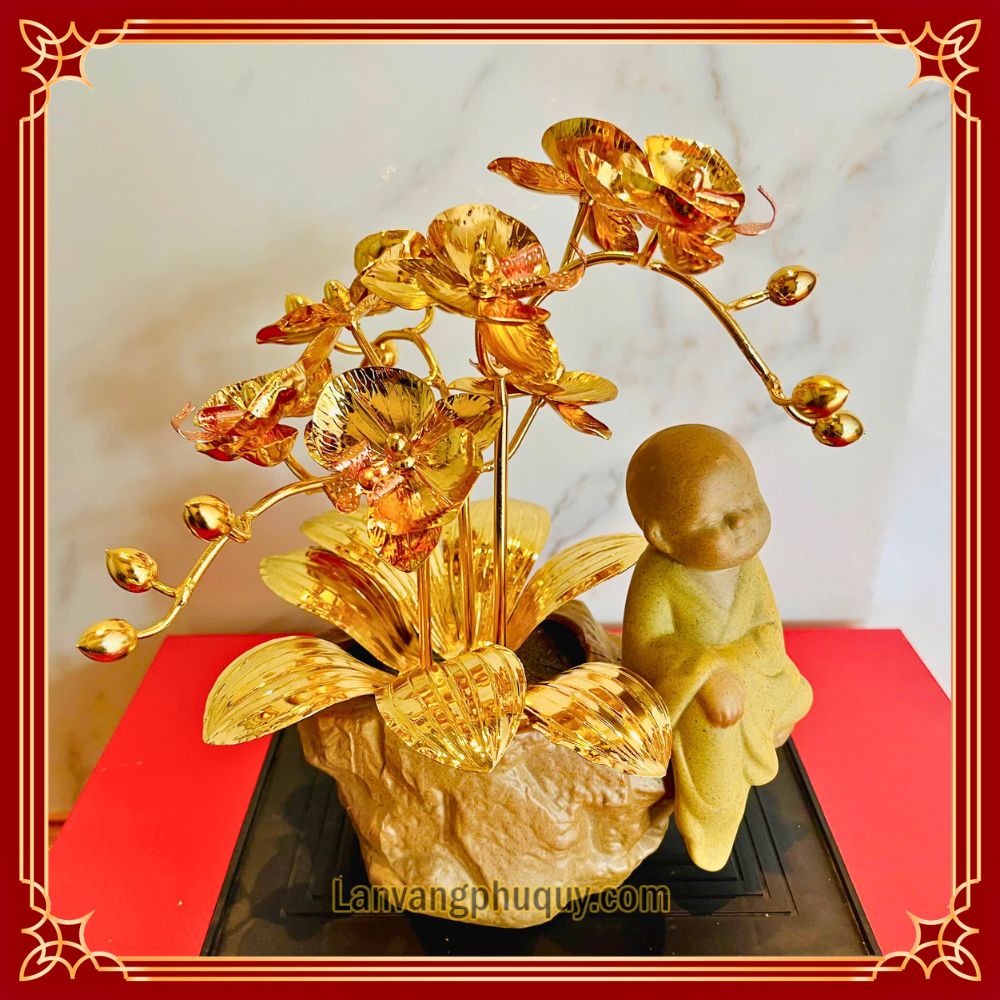 Lan vàng Phú Quý mini - LVMN09