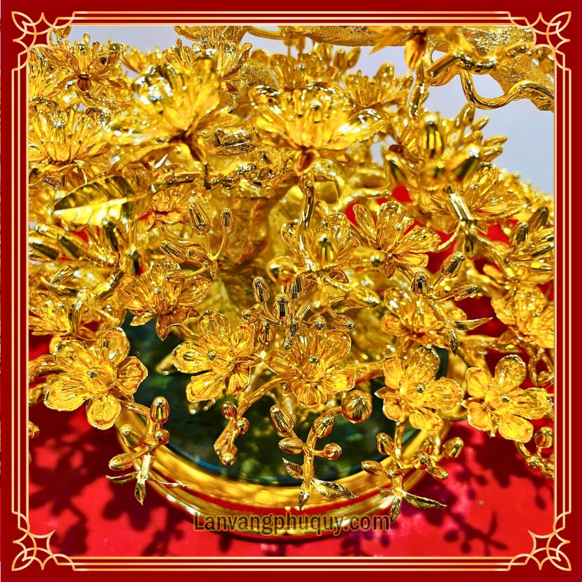 Mai vàng Phú Quý - MVPQ25