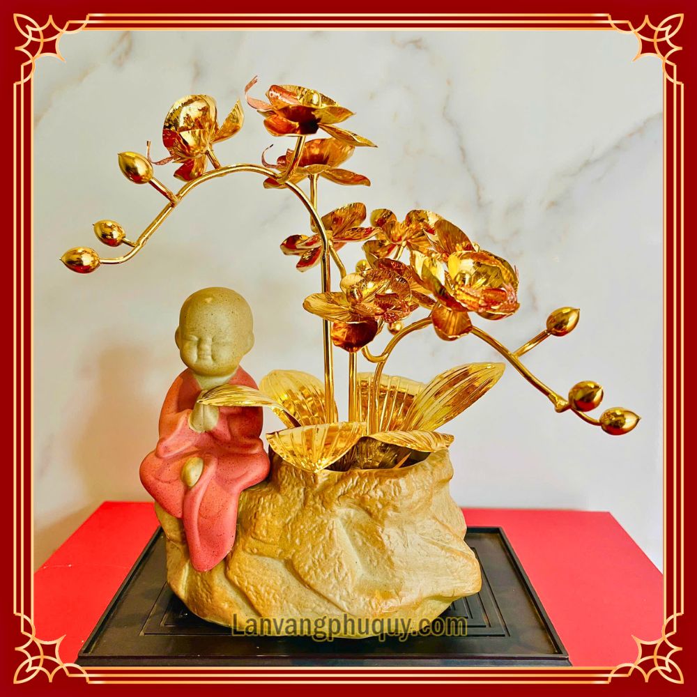 Lan vàng Phú Quý mini - LVMN08