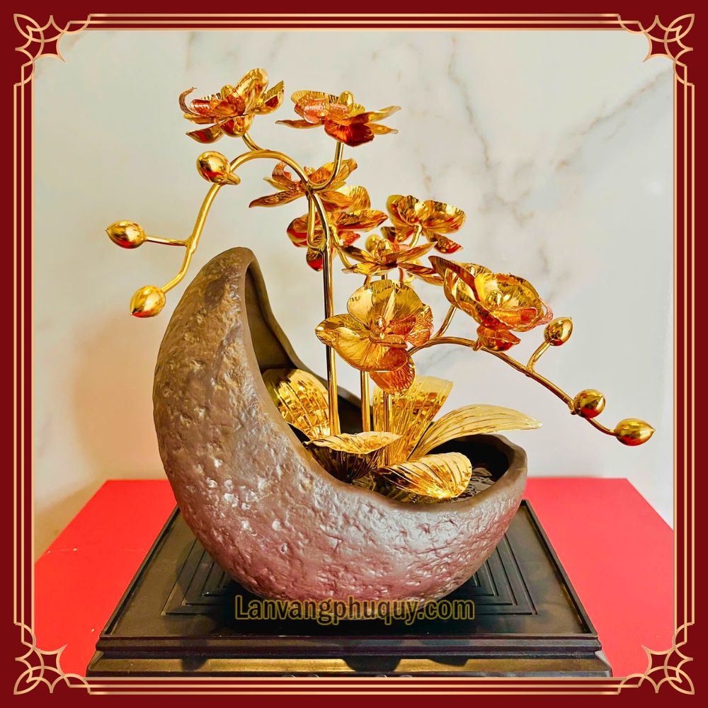 Lan vàng Phú Quý mini - LVMN02