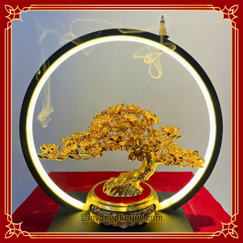 Mai Vàng Phú Quý - MVPQ024